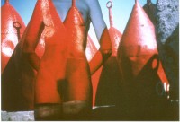 /album/metamorfose/foto-n-jpg/